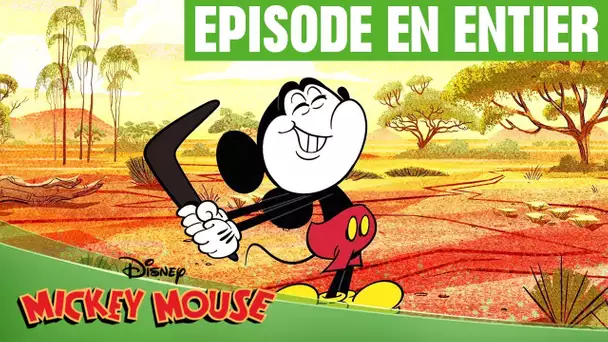 Mickey Mouse : Effet boomerang