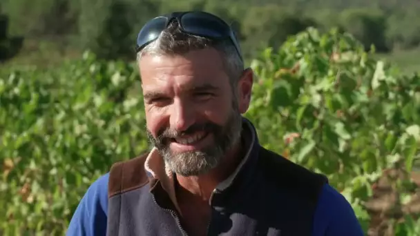 PrioriTerre Vin et transitions ecologiques: Vignerons de Correns, une coopérative en biodynamie