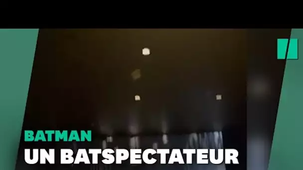 Une chauve-souris s'incruste à la projection de "The Batman" à Austin