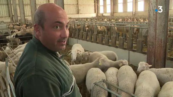 Hautes-Pyrénées : huit ans après sa destruction par la crue, l’abattoir de Barèges sort de terre