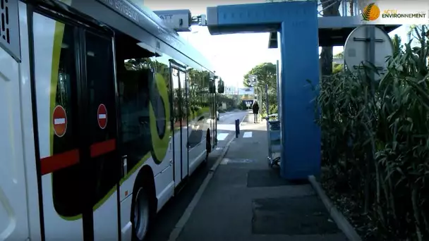 Première mondiale : un bus électrique qui se recharge à chaque arrêt