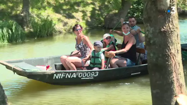 Les barques se baladent à nouveau dans le Marais Poitevin
