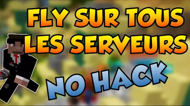 COMMENT FLY SANS CHEAT SUR LES SERVEURS MINECRAFT