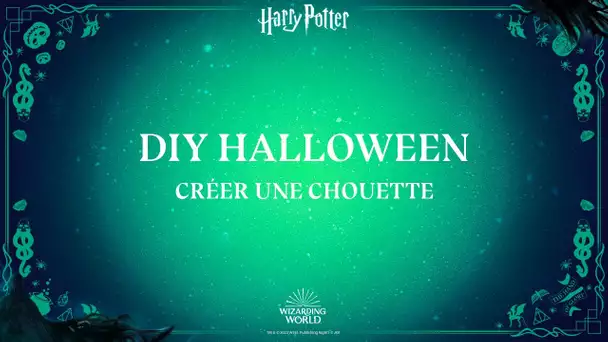 DIY Halloween - Fais ta propre chouette