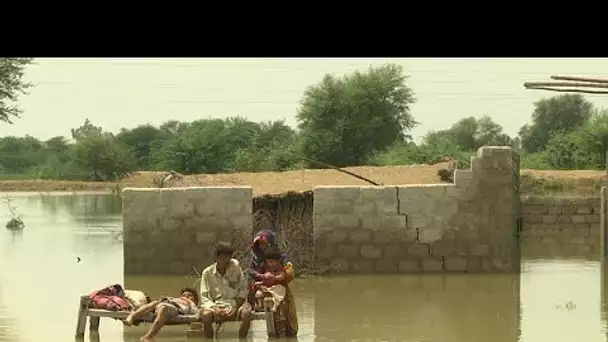 Pakistan : Nabi et sa femme se relaient pour porter leur enfant, dans les inondations