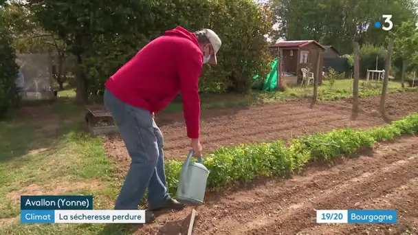 Yonne : la sécheresse se poursuit pour la troisième année