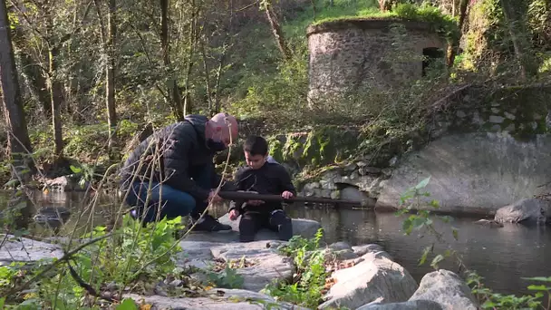 Mayenne : un vieux fusil de la guerre de Vendée retrouvé