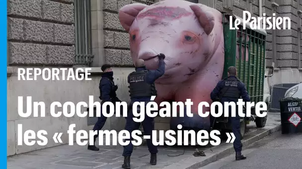 Greenpeace déverse 2 tonnes de lisier devant le ministère de l’Agriculture et gonfle un cochon géant