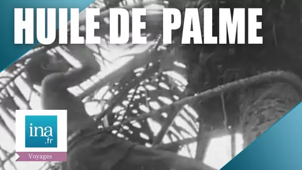 1959 : Guinée, N'Zérékoré le pays de l'huile de palme | Archive INA