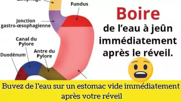 Pourquoi boire 4 verres d&#039;eau tiède à jeun chaque matin