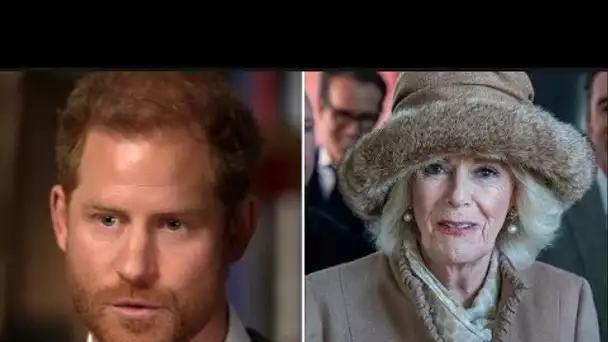 La reine Camilla n'a « aucune relation » avec le prince Harry après une série d'att@ques sauvages