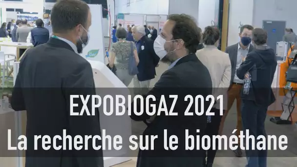 Biométhane : la chaire AgroMétha réunit scientifiques et professionnels