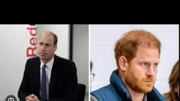 Le prince Harry s'apprête à annuler le retour au Royaume-Uni d'Invictus Games Service en raison