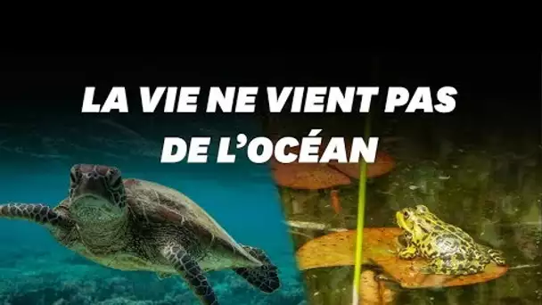 La vie serait née, non pas dans l’océan, mais dans une mare