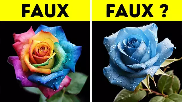 Comment les fleurs de couleurs étranges sont-elles créées ?