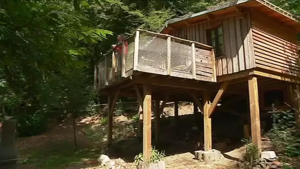 Et si vous dormiez dans les arbres en Corrèze ?