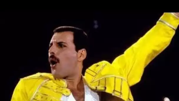 Freddie Mercury  un ami poste une photo de lui lors de son dernier Thanksgiving