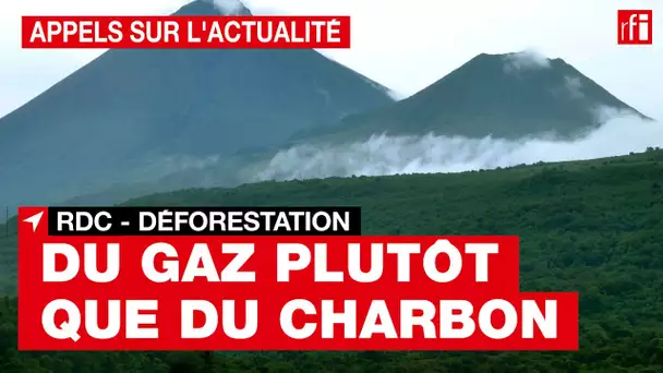 RDC : du gaz plutôt que du charbon pour protéger les forêts