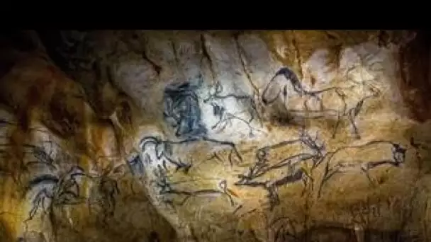 Google Doodle célèbre le 26e anniversaire de la découverte de la grotte Chauvet