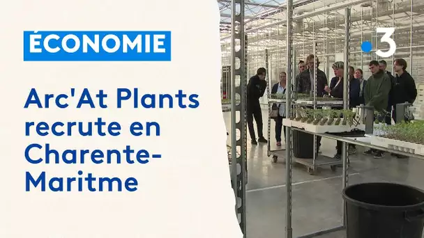 Arc'At Plants, une entreprise qui ne connait pas la crise en Charente-Maritime