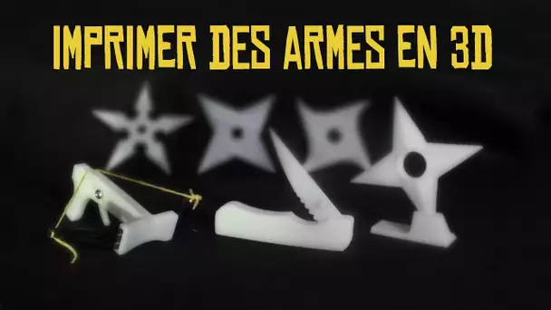 Imprimer des armes en 3D - Expérience