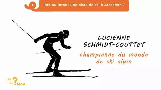 Les ? de Noa #30 : info ou intox, une piste de ski à Arcachon ?