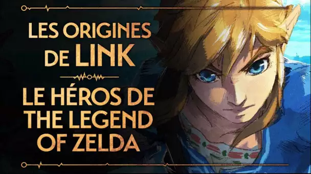 PVR #1 : LINK - LE HÉROS DE THE LEGEND OF ZELDA