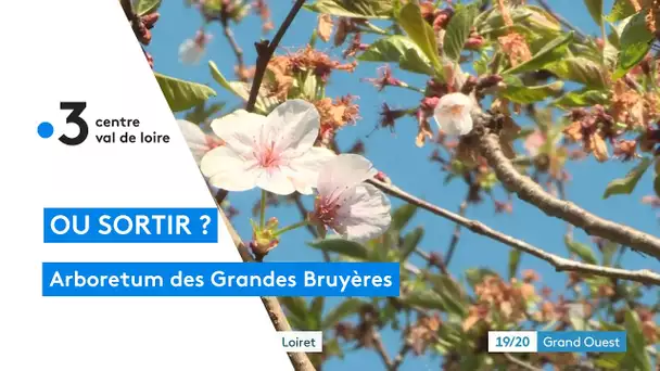 Ingrannes : une bouffée d'air à l'arboretum des Grandes Bruyères dans le Loiret