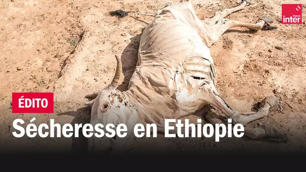 Sécheresse : l'Ethiopie ne voit plus la pluie