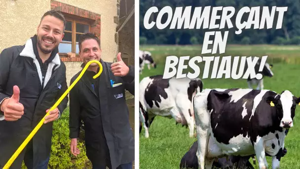 J'achète des VACHES avec un COMMERÇANT en BESTIAUX!