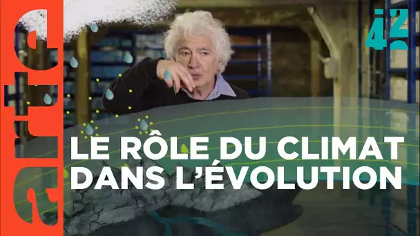 Les crises climatiques ont-elles du bon ? | 42 - La réponse à presque tout | ARTE