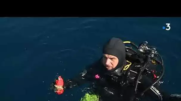 Des filets en plastique repêchés en mer Méditerranée par une association