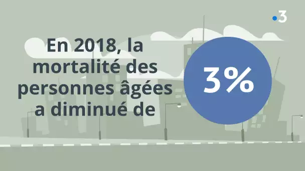 La sécurité routière chez les seniors