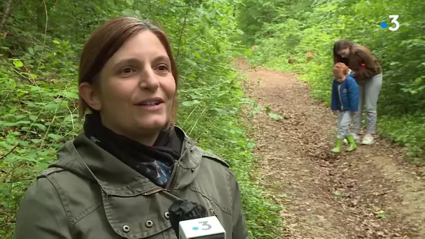 Pour le retour en forêt, préservez la faune sauvage !