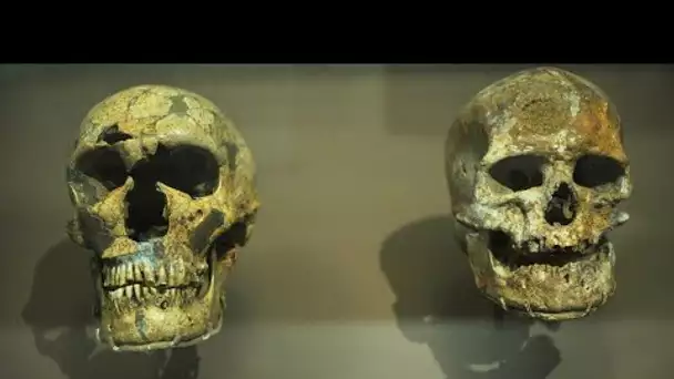 Homo sapiens était présent en Europe plus tôt qu'on ne le pensait • FRANCE 24