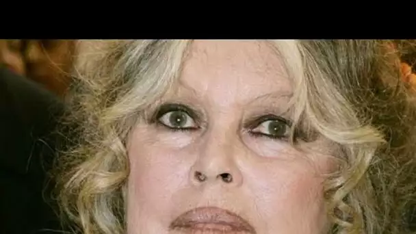 Brigitte Bardot dévoile avoir reçu une "menace islamique très inquiétante"