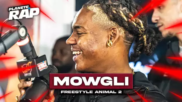 [EXCLU] Mowgli - Freestyle animal 2 #PlanèteRap