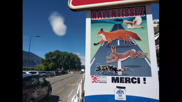 Des panneaux pour sensibiliser sur les animaux sauvages victimes de la route