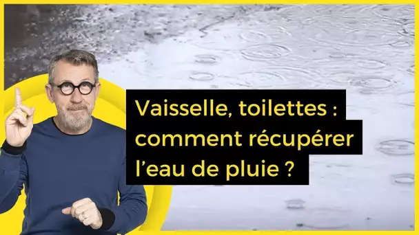 Vaisselle, toilettes : comment récupérer l’eau de pluie ? - C Jamy