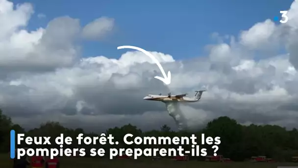 Feux de forêt. Comment les pompiers se preparent-ils ?