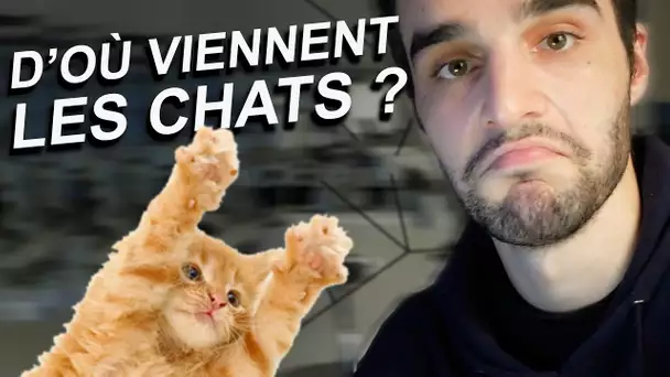 D’OÙ VIENNENT LES CHATS ? SciVlog #1