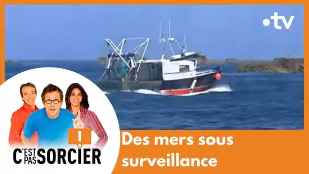 Des mers sous surveillance - C'est pas sorcier [Intégrale]