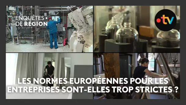 Élections européennes 2024 : les normes de l'UE pour les entreprises sont-elles trop strictes ?