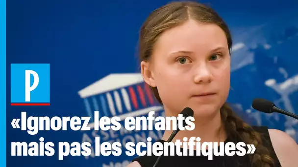 Greta Thunberg à l'Assemblée : "Nous sommes l'objet de haine et de menaces"