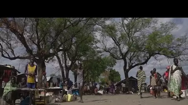 Soudan du Sud : dix ans après l'indépendance, 7 millions de personnes souffrent de la faim