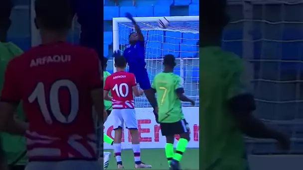 😨 La boulette folle d'un gardien en Ligue des Champions africaine ! #shorts