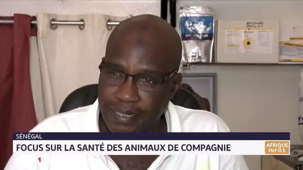 Sénégal: focus sur la santé des animaux de compagnie