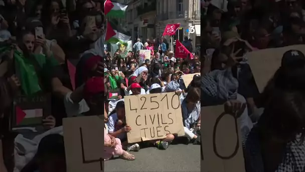 manifestation cessez le feu Gaza