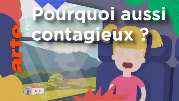 Pourquoi les bâilleurs nous font-ils bâiller ? | ARTE répond à vos questions