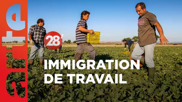 La France doit-elle faire davantage appel aux immigrés ? - 28 Minutes - ARTE